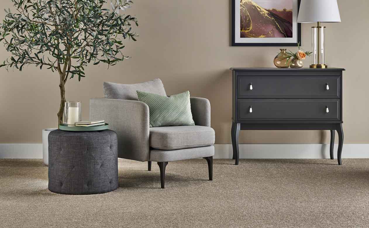 Living room with soft grey furniture and carpet.