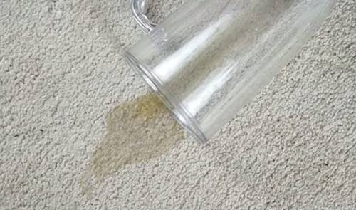carpet-one-floor-home-roseville-chico-ca-flooring-tips-tricks-remove-beer-stain