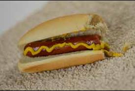 carpet-one-floor-home-roseville-chico-ca-flooring-tips-tricks-remove-catsup-mustard-hot-dog