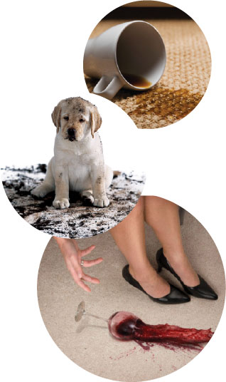carpet-one-floor-home-roseville-chico-ca-flooring-tips-tricks