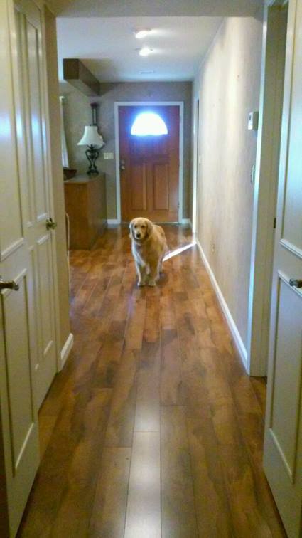 carpet-one-floor-home-roseville-ca-professional-installation-hardwood