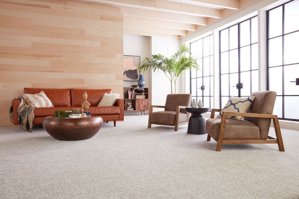 textured beige carpet in a modern living space with wood-paneled wall